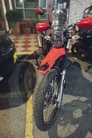 Ready to Ride: The Bold..