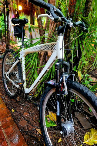 Mtb Bmw