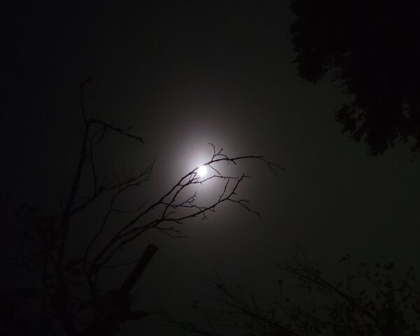 Moon