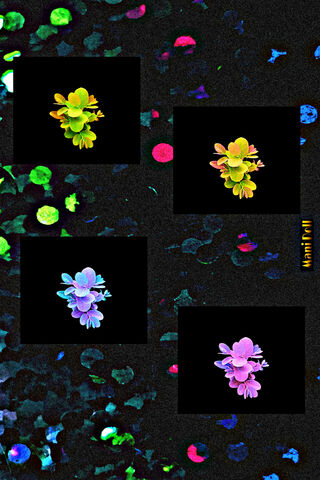 Vibrant Floral Mosaic 🌸✨