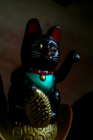 Lucky Cat Charm 🐾✨