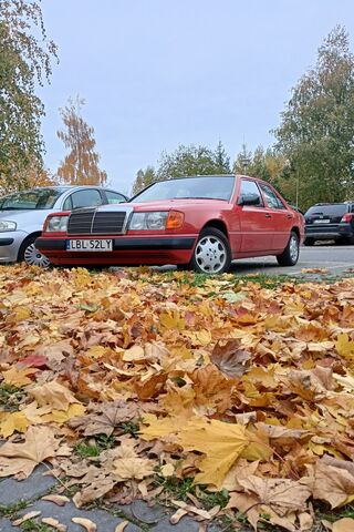 Autumn Vibes with a Cla..