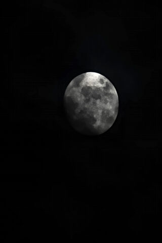 Enigmatic Moonlit Night..