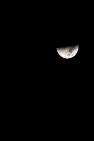 Half-Moon Magic 🌙✨