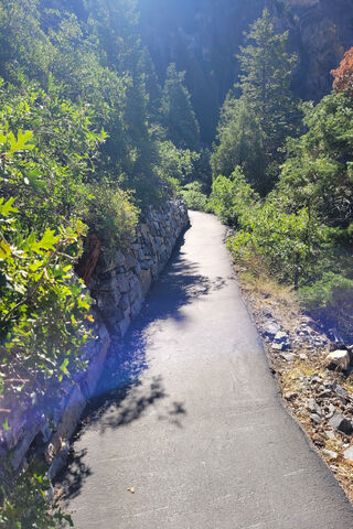 Winding Through Nature's Embrace 🌲✨