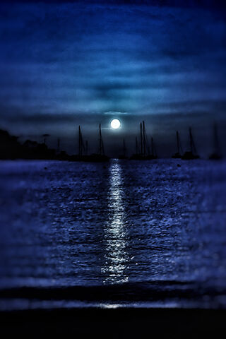 Moonlit Serenity 🌙✨