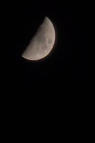 Half Moon Magic 🌙✨