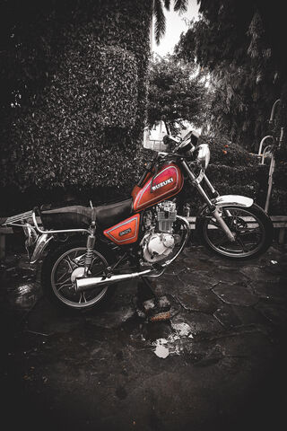 Classic Ride: The Vintage Motorcycle 🏍️✨