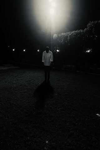 Midnight Wilderness