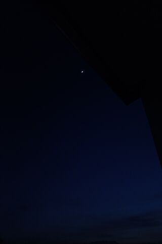 Moonlight
