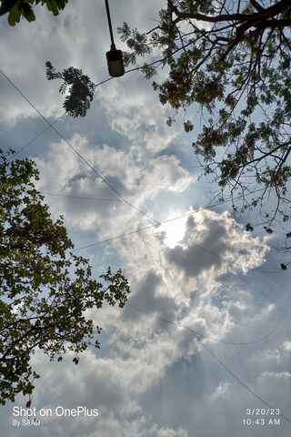 Whispers of the Sky: A ..