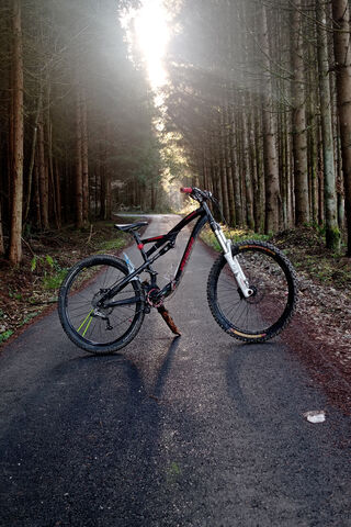 Mtb Specialized