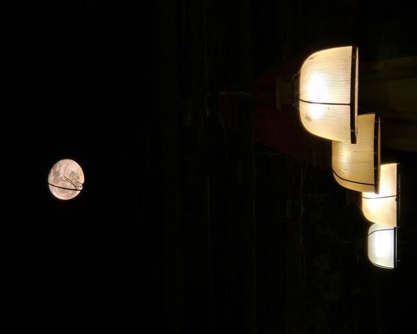 Moonlit Serenity 🌙✨