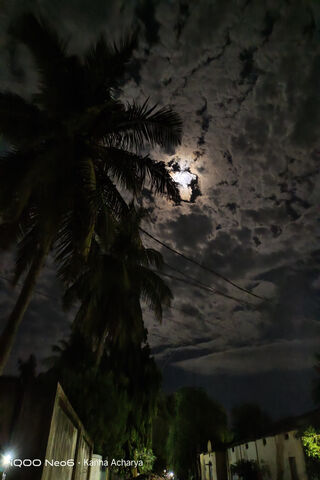 Moonlit Night 🌙✨