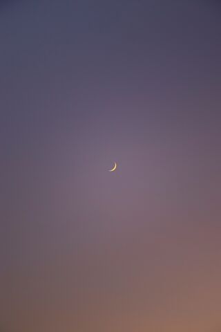 Serene Crescent 🌙