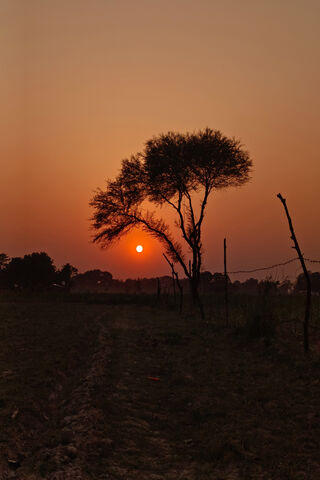 Sunset Serenity: A Natu..