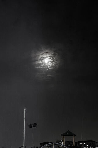 Mysterious Moonlit Nigh..