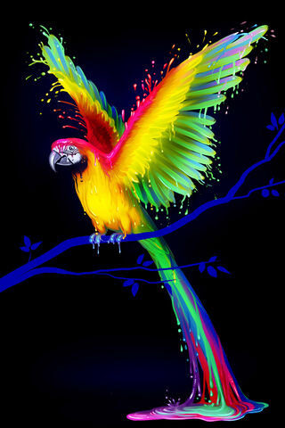 Vibrant Parrot Splash �..