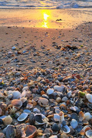 Sunset Serenity on the ..