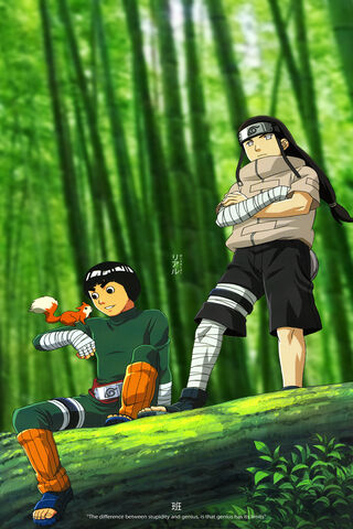 Neji & Rock Lee