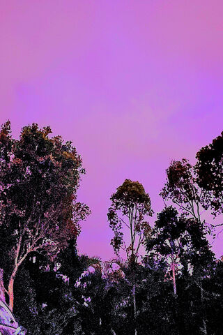Night Sky