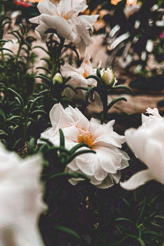 Nature