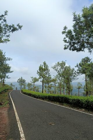 Serene Mountain Road 🌲..
