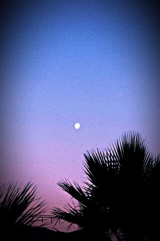 Serene Twilight 🌙🌅