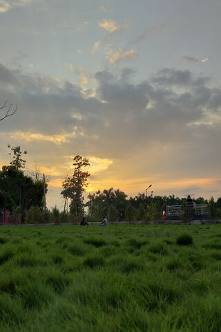 Serene Sunset Over Lush..