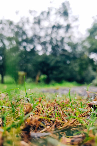 Nature Beauty
