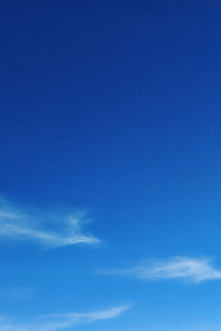 Sky's Canopy: A Natural..