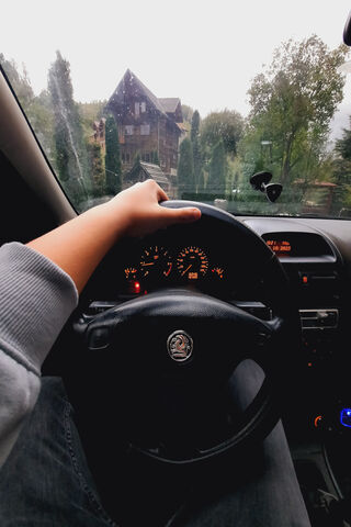 Road Trip Vibes 🚗🌲