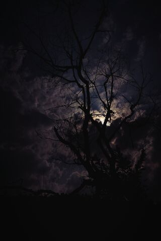 Mysterious Nightscape �..