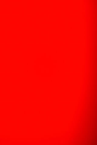 Bold Red Canvas: A Spla..
