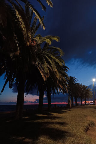 Serene Night by the Pal..