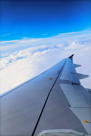 Plane Wing View