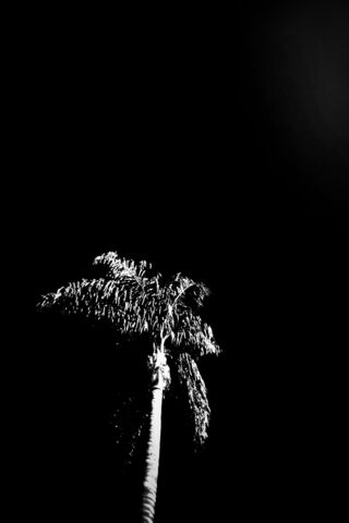 Silhouette of Serenity ..