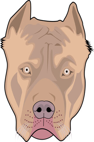 Majestic Pit Bull Portr..