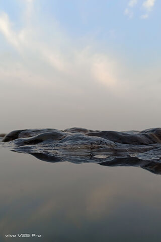 Reflections