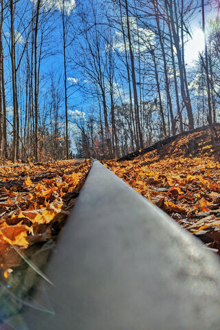 Rails In Fall Season