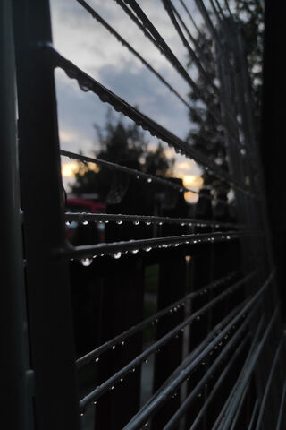 Whispers of a Rainy Eve..