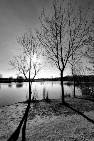 Serene Silhouettes by t..