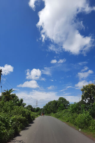 Serene Country Road Under a Blue Sky 🌤️