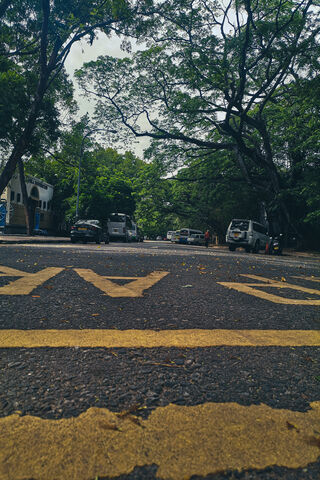 Serene Street View 🌳🚗