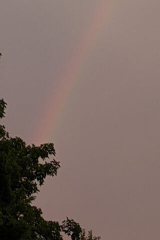 A Glimpse of Hope 🌈