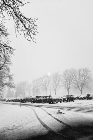 Snow Fall