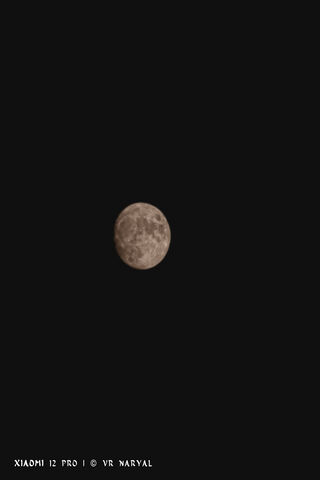 Majestic Moonlit Night 🌕✨