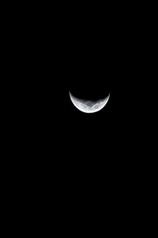 Spring Moon