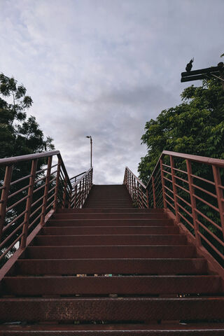 Ascending to New Height..