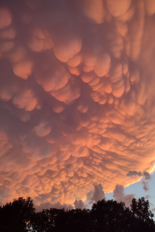 Breathtaking Mammatus C..